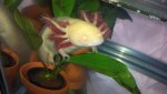 2012-08-28_17-52-12_155.jpg