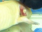 Jor 20120830 a.jpg