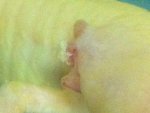 Jor 20120830 b.jpg