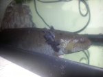 20120907_003804.jpg