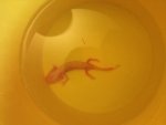 photo 4.JPG