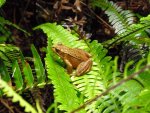 P1220647.jpg