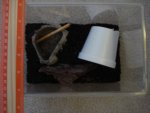 DSC06705.jpg
