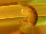20121017_045410.jpg