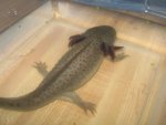 IMG_1702.jpg