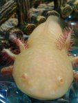 2012-12-09 11.00.04.jpg