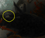 IMAG0415.png