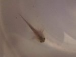 20130110_073701.jpg