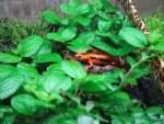 DSC01430.jpg DSC01430.jpg