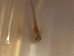 20130115_195451.jpg