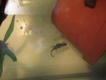 IMG_8280.jpg