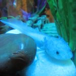 IMG_0692.jpg
