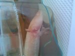 20130125_154420.jpg