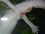His butt, 8-2012.jpg
