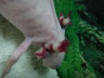 DSC03104.jpg