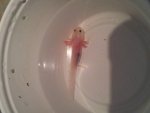 20130312_110546.jpg