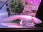 IMG_0645.jpg