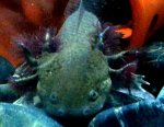 IMG_0588.jpg