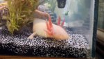 2013-03-23_09-42-33_634.jpg