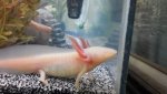 2013-03-23_09-42-22_236.jpg