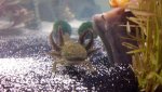 2013-03-23_09-42-04_725.jpg