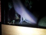 20130323_032528.jpg