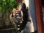 IMG_0569.jpg