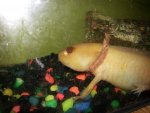 20130407_092858.jpg