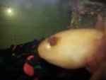20130407_092916.jpg