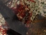 photo3.jpg