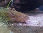 20130417_114549.jpg