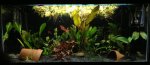 29792-please-post-pictures-your-tank-imageuploadedbytapatalk-21365533198.568662.jpg