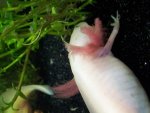 20130426_110303.jpg