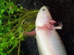 20130426_110324.jpg