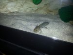 20130505_005954.jpg