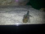 20130505_005945.jpg