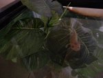 20130404_134036.jpg