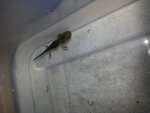 20130512_231615.jpg