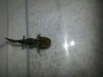 20130509_093937.jpg