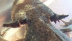20130609_1501472118714561.jpg