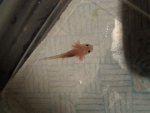 IMG_20130610_220726.jpg