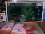 100_3726.jpg