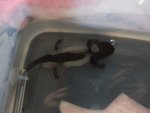 20130625_115028.jpg