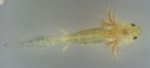 20130705_222135-1.jpg