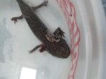 20130723_213716.jpg