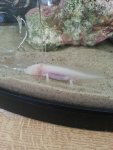 20130820_162953.jpg