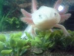 20130824_084422.jpg