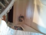 Smudge sideways.jpg