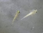 20130908_123633.jpg