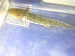 20130911_163700.jpg